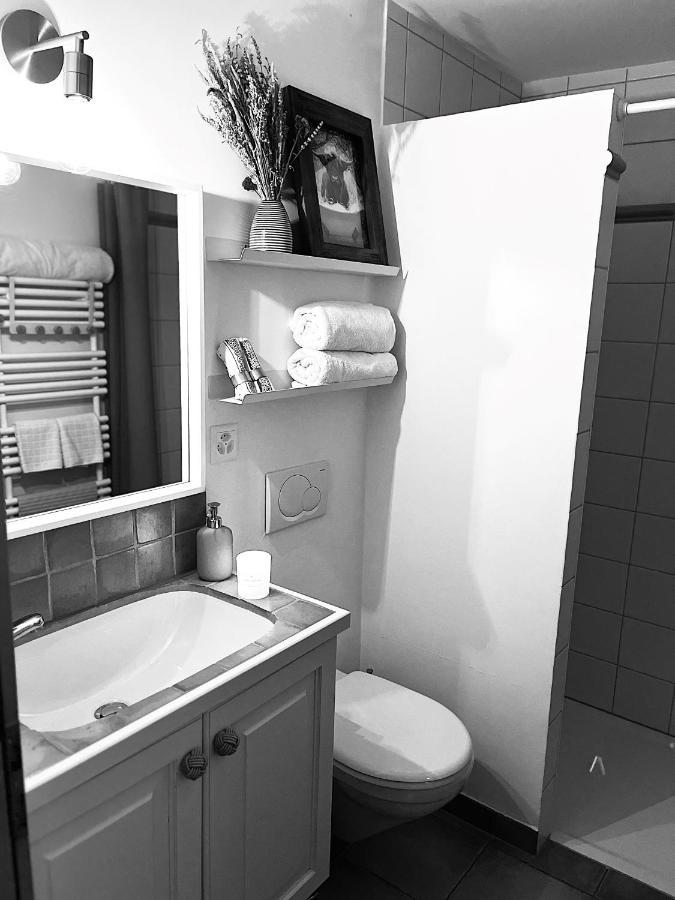 Chalet Apartment Serenity Lodge Charmey Kültér fotó