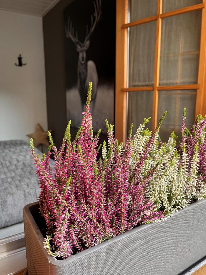 Chalet Apartment Serenity Lodge Charmey Kültér fotó